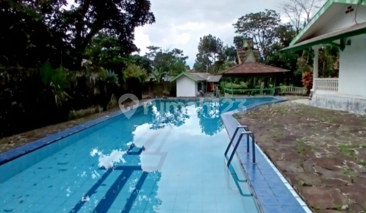 Villa Puncak Strategis Hitung Tanah. Harga Murah Jarang Ada