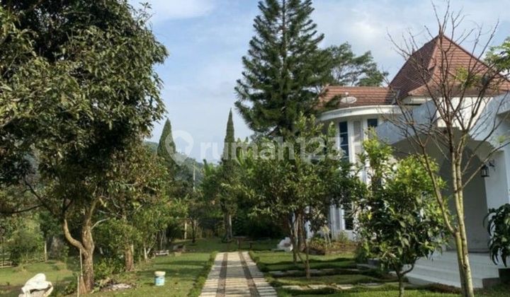 Dijual Tanah di Cipanas Bonus Villa. Lokasi Strategis Good Invest