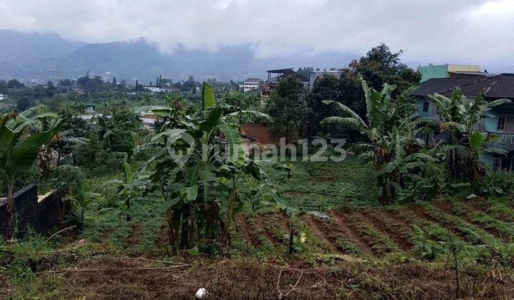 Tanah Megamendung with a Good View. Strategically Located 1Km from the Main Road. Tanah Megamendung with a Good View. Strategically Located 1Km from the Main Road.