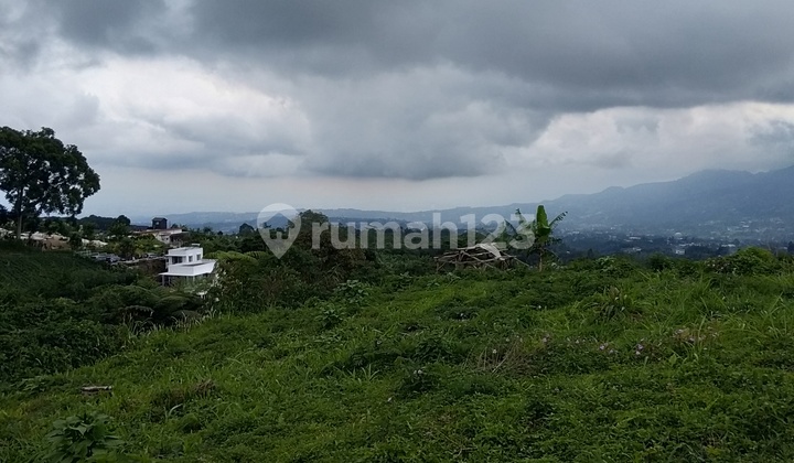 Strategic Land at Puncak Bogor. Rare and Attractive View. Strategic Land at Puncak Bogor. Rare and Attractive View.