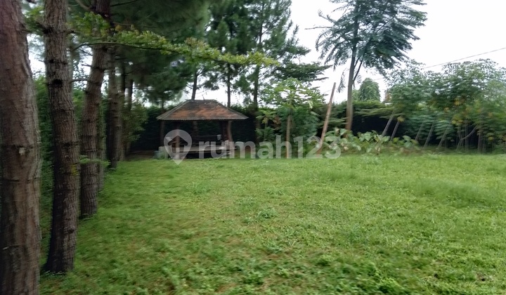 Tanah di Megamendung Puncak. Tanah Strategis Bagus untuk Villa