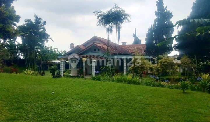 Villa 1 Lantai di Citeko Puncak Bogor. Strategis Dekat ke Tol