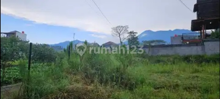 Tanah Puncak Bogor. Lokasi Strategis View Pegunungan Dekat Tol Tanah Puncak Bogor. Lokasi Strategis View Pegunungan Dekat Tol