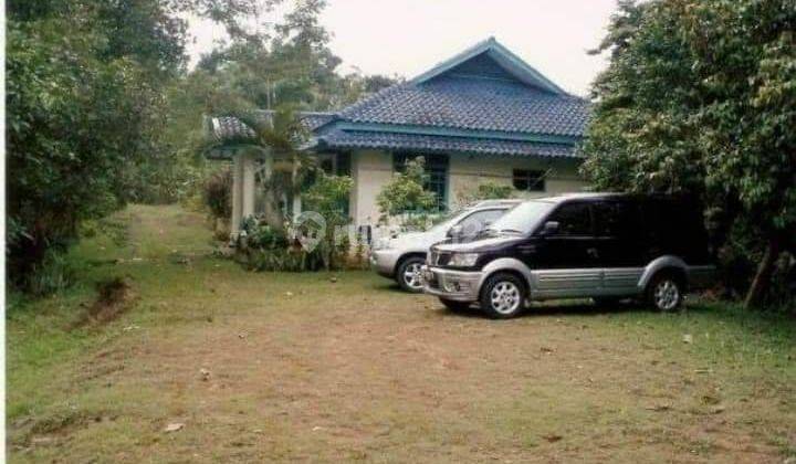 Jual Tanah di Sukabumi, Untuk Villa Peternakan dan Perkebunan 1