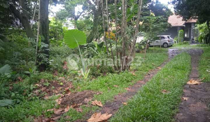 Pangkalan Jati Raya Dekat Akses Tol Pangkalan Jati Raya Dekat Akses Tol