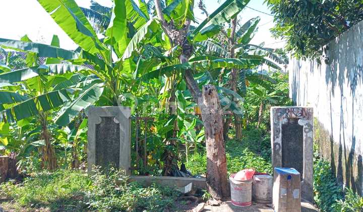 Kedung Halang Suitable for Clusters