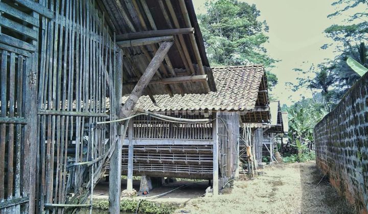 For Sale Chicken Farm in Baturaden Purwokerto, Strategic Location by the Main Road