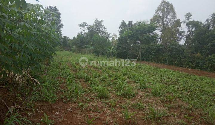 Dijual Tanah murah daerah Sukoharjo arah Jonggol kec  Sukamakmur lokasi pinggir jalan raya kabupaten 2