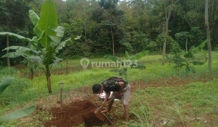 Dijual Tanah murah daerah Sukoharjo arah Jonggol kec  Sukamakmur lokasi pinggir jalan raya kabupaten 1