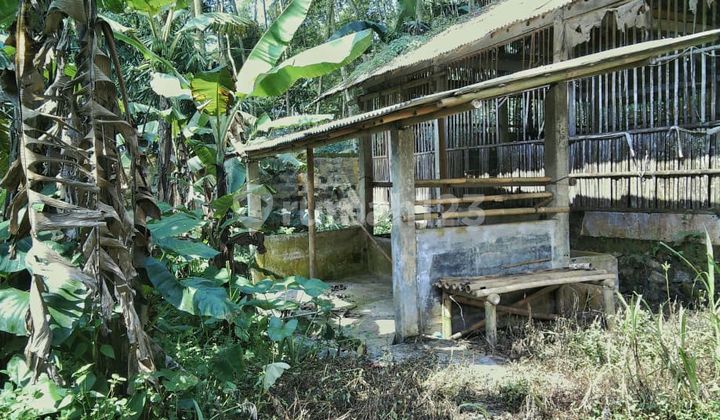 For Sale Chicken Farm in Baturaden Purwokerto, Strategic Location by the Main Road