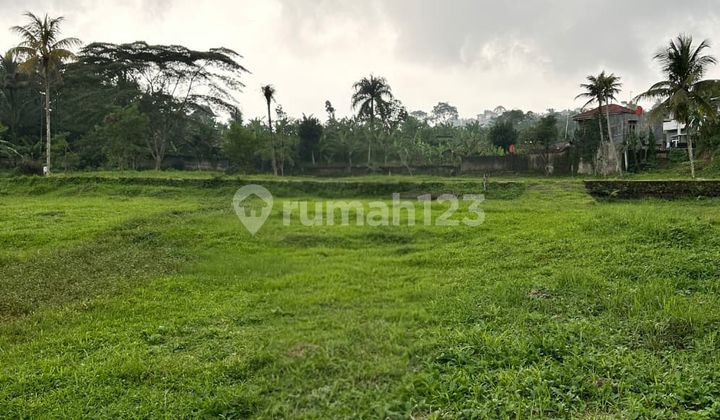 tanah Luas dan Strategis di Cisarua Bogor tanah Luas dan Strategis di Cisarua Bogor