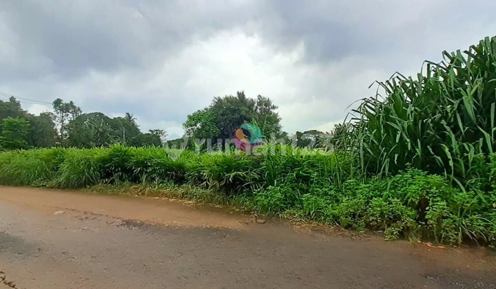 Affordable Land for Sale, Perfect for Town Houses, Behind Harvest City, Setu, Bekasi.