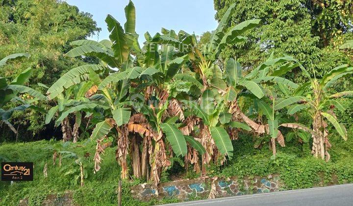 Di Jual Tanah Di Durian Patah Kota Ambon Manise  2