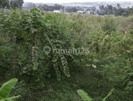 DI JUAL LAHAN SANGAT STRATEGIS LOKASI DEKAT SIRKUIT SENTUL BOGOR 2