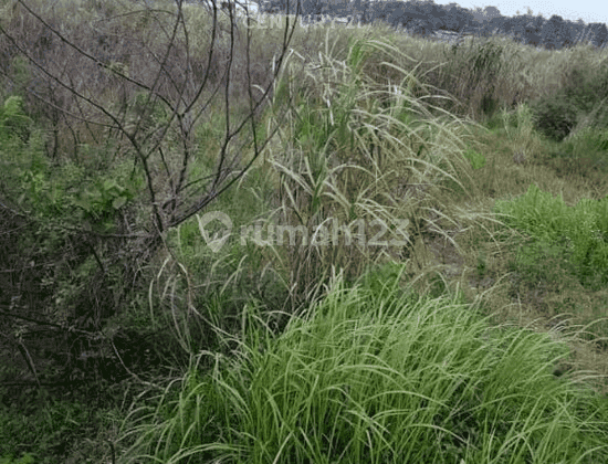 DI JUAL LAHAN SANGAT STRATEGIS LOKASI DEKAT SIRKUIT SENTUL BOGOR 2