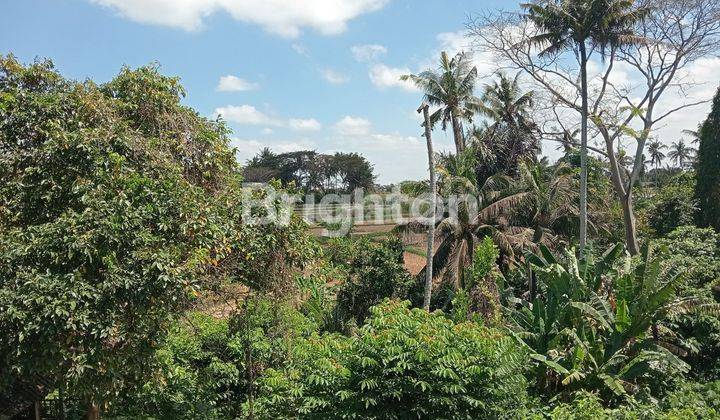 Tanah Di Singapadu Dekat Ubud 2