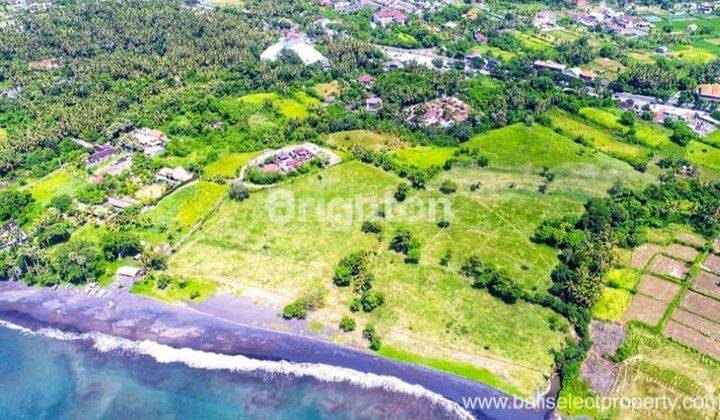 Tanah 1 Hektar Depan Pantai Cocok Untuk Resort Atau Hotel Di Pantai Saba Gianyar 1