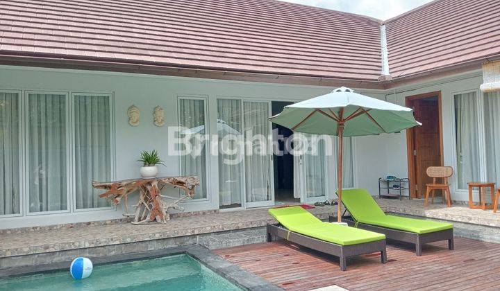 Beautiful Villa 3 Bedroom For Rent At Kerobokan  Canggu 1