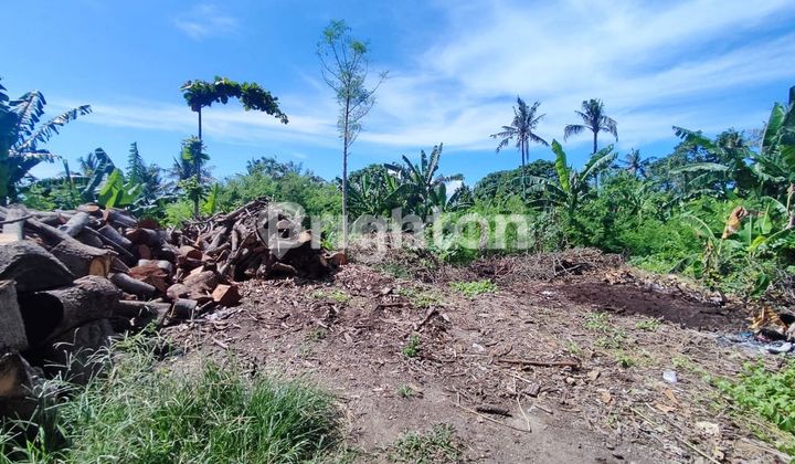 For Sale Land With Ocean & Mountain Mountain Agung View In Ketewel Gianyar 1