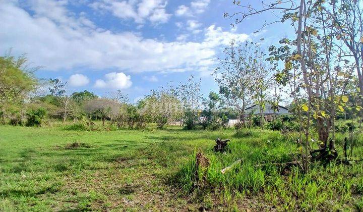 Tanah Kavling Eksklusif Kawasan Premium Dekat Pantai Pandawa  1