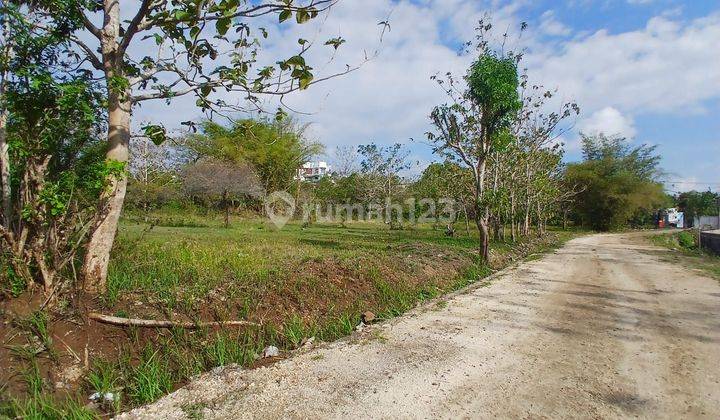 Tanah Kavling Eksklusif Kawasan Premium Dekat Pantai Pandawa  2