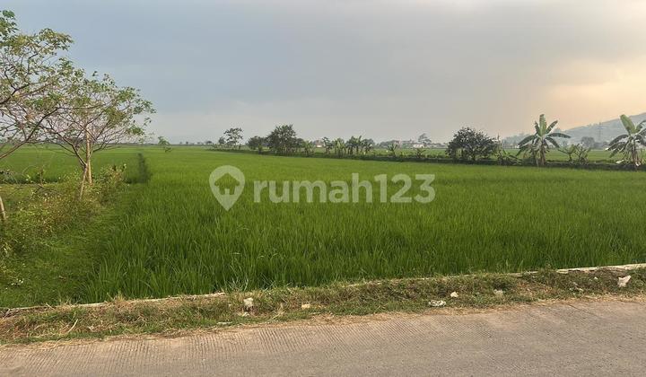 Jual tanah mainroad Lokasi Ciheulang Jelekong kab bandung 