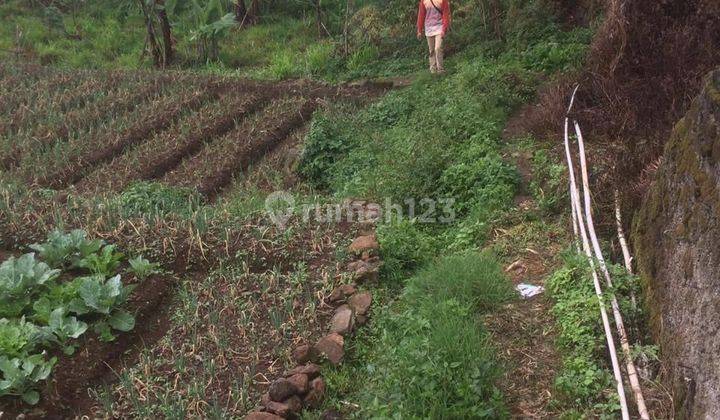 Tanah Murah Untuk Investasi di Ciwidey Jawa Barat 2