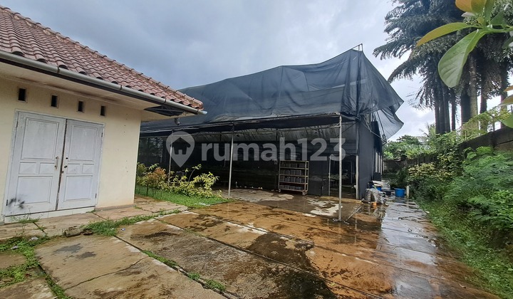 Dijual Cepat Tanah Ada Bangunan di Gunung Sindur Cocok untuk Hunian atau Greenhouse