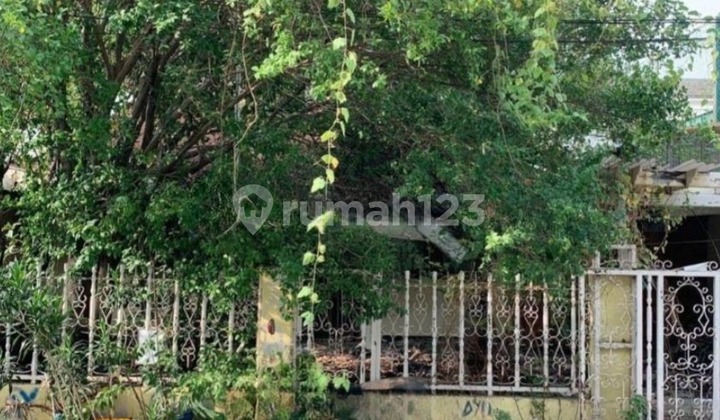 Rumah Tua/Kavling Pluit Sakti Luas 240m2 10x24 SHM Strategis