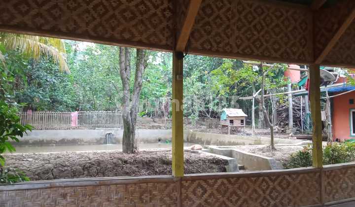 Quick Sale of Land and Building in Jonggol Area, Bogor, West Java. 2