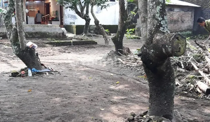 LAND FOR SALE Bonus House Jalan Kaliurang km9 Jogja 2