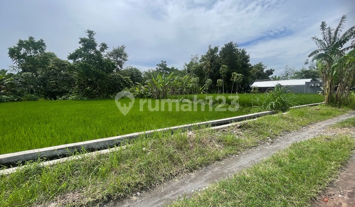 Tanah Condongcatur Dekat Kampus dan Mall Tanah Condongcatur Dekat Kampus dan Mall