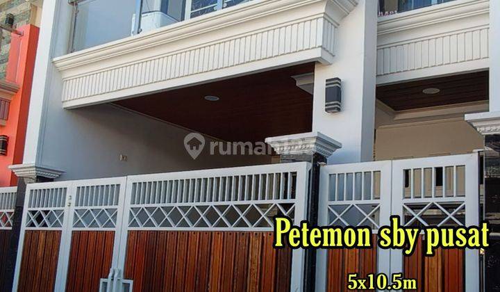 Petemon Rumah Minimalis Modern  1