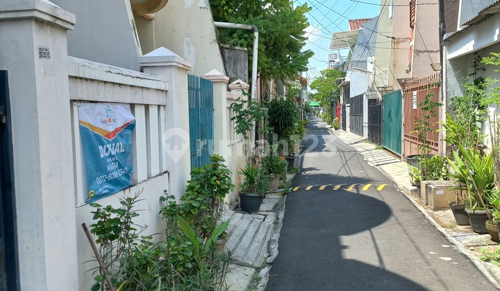 For sale. Move-in ready house in Tanjung Duren Selatan, West Jakarta. For sale. Move-in ready house in Tanjung Duren Selatan, West Jakarta.