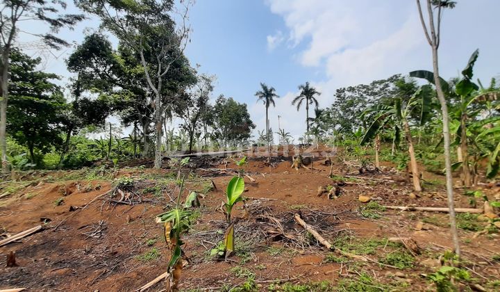 Tanah Cocok Untuk Villa Jalan Jonggol Cariu Bogor