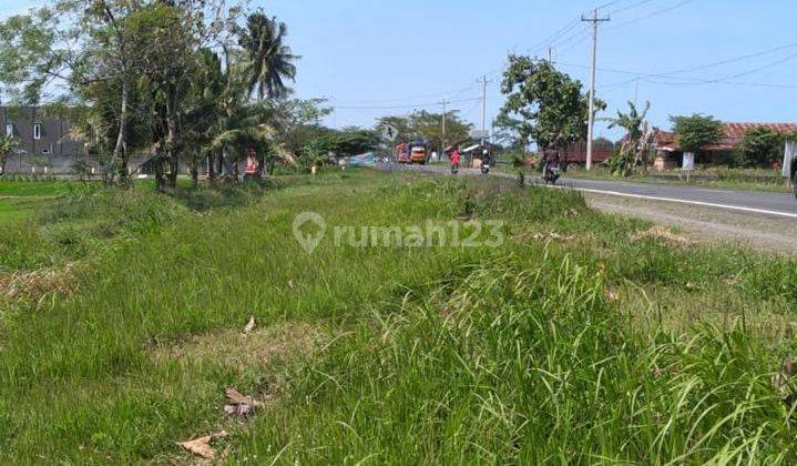 Tanah Luas 1.396 m2 Jalan Daendels Purworejo Jawa Tengah 1