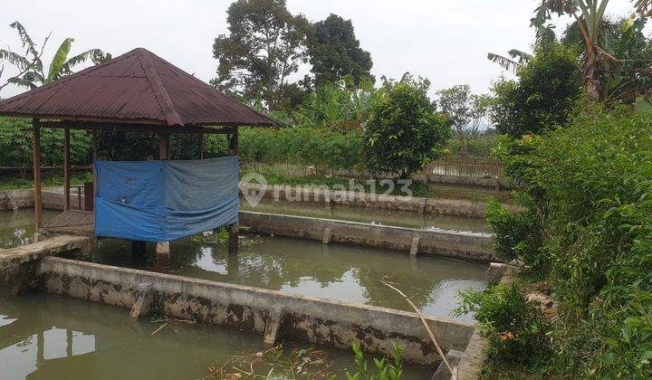 Tanah Sawah SHM di Parakan Salak Sukabumi 2