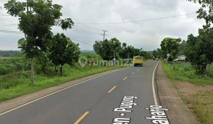 Tanah Murah Lokasi Strategis Pinggir Jalan Raya Lampung Timur 2