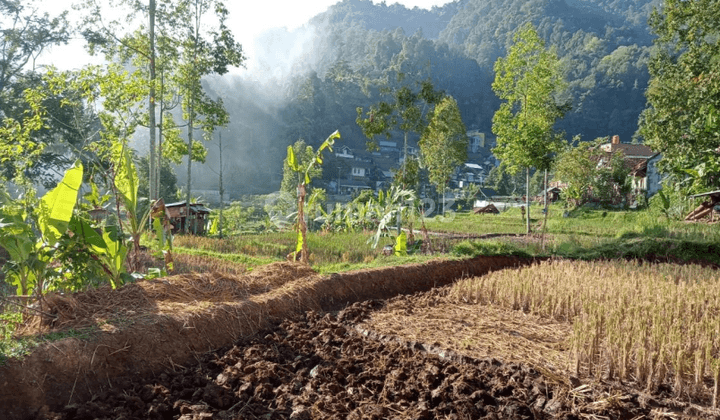 Tanah SHM 2.500 m² Di Desa Wisata Citengah, Sumedang Selatan 1