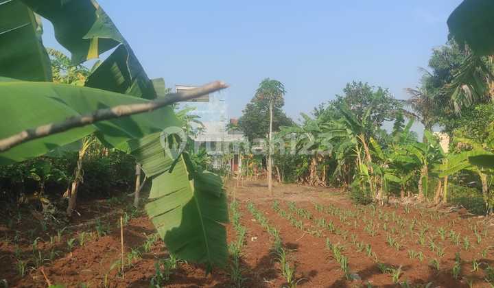 Tanah Cocok untuk Hunian Area Limo Depok Tanah Cocok untuk Hunian Area Limo Depok