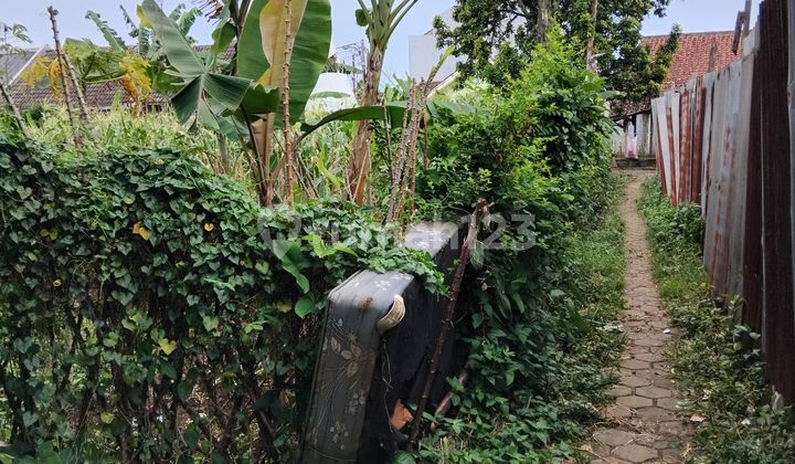 Dijual Tanah Wilayah Yasmin Cocok Bangun Kontrakan