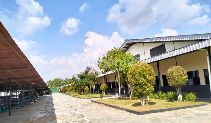 For Quick Sale Factory (Still Operational) Sidareja, Cilacap, Central Java