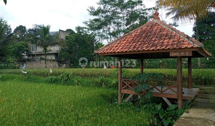 Kavling 3075m2 Di Caringin Bogor Ada Villa Sawah Kolam Ikan Kebun Tetangga Sebelah Artis Terkenal  1