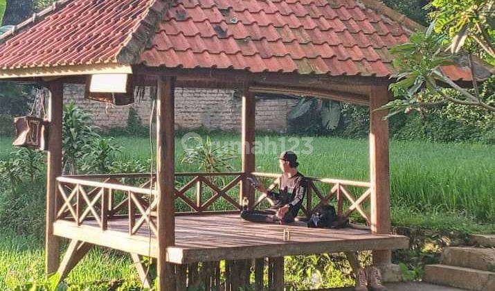 Kavling 3075m2 Di Caringin Bogor Ada Villa Sawah Kolam Ikan Kebun Tetangga Sebelah Artis Terkenal  2