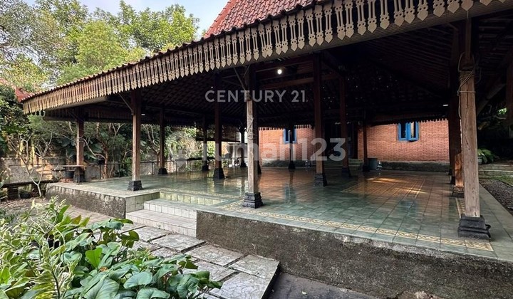 Rumah Tanah Luas Cocok Untuk Usaha Harga Murah Di Sektor 9 U14316