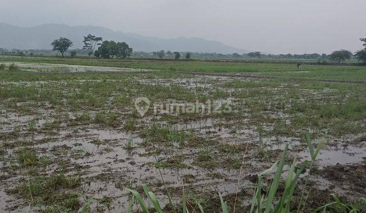 Tanah Murah Nego Area Buah Batu Dekat Podomoro  2