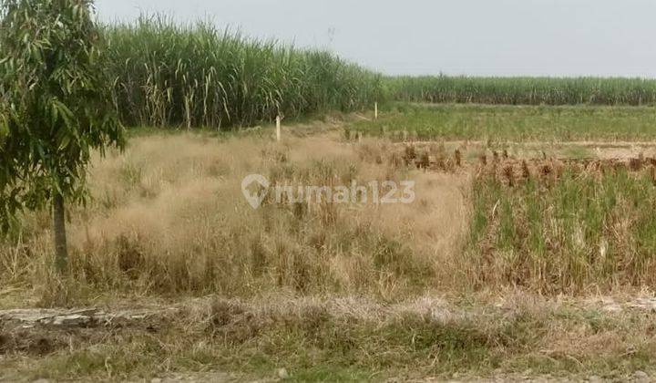 Murah Tanah SHM Mainroad Ujung Jaya Sumedang Lokasi Strategis 2