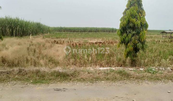 Murah Tanah SHM Mainroad Ujung Jaya Sumedang Lokasi Strategis 1