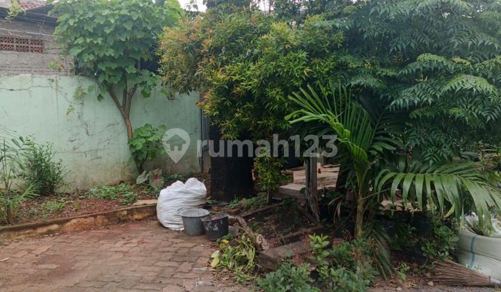 Jual Tanah Bonus Rumah Kokoh Jual Tanah Bonus Rumah Kokoh