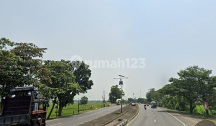 Tanah zona kuning pantura raya subang jabar  2